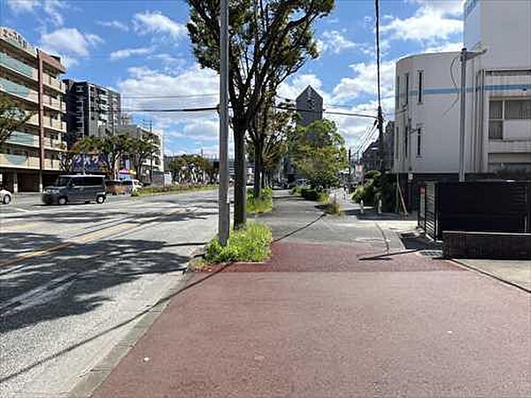 北東側前面道路（別角度）