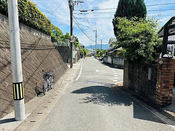 南東側前面道路（2026年6月撮影）
