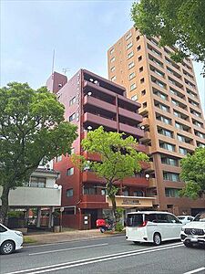 外観：外観