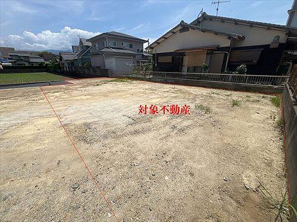 現地敷地内