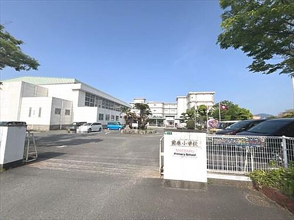 前原小学校まで240m
