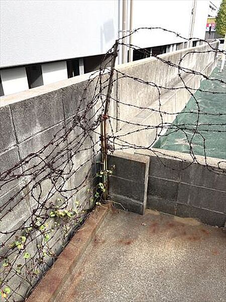 現地写真11
