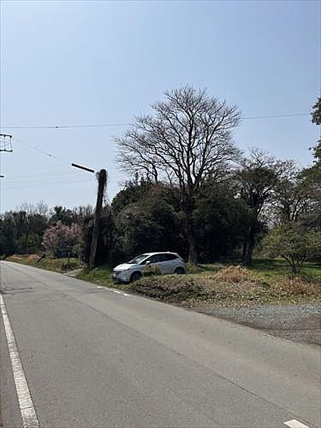 現地写真 2
