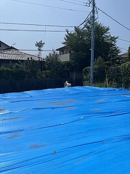 現地写真 6