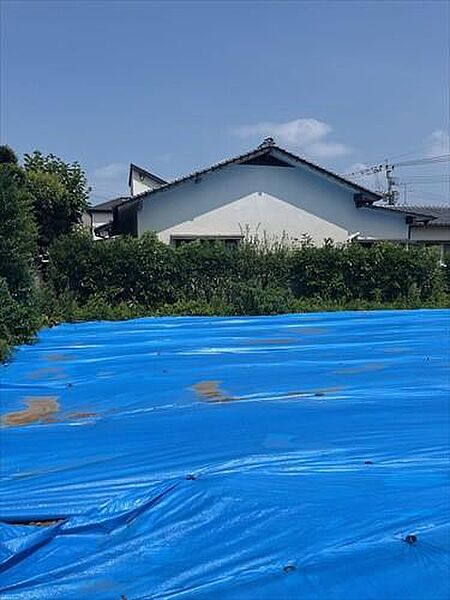 現地写真 7