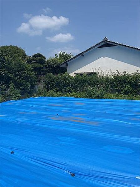 現地写真 8