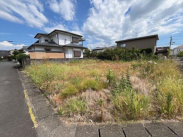 現地　撮影日：2026年8月