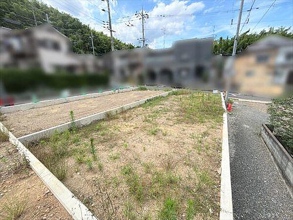 現地（南東側より撮影）