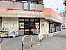 その他：ココカラファイン川崎四谷上町店（550m