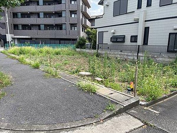 現地（1～3区画全体）