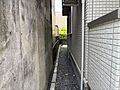 敷地裏側（南西...