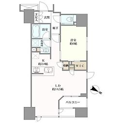 シティハウス東京八重洲通り 1LDKの間取図画像