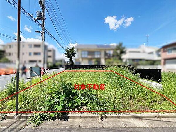 外観：313004907326