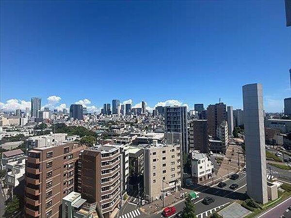 南東側バルコニーからの眺望