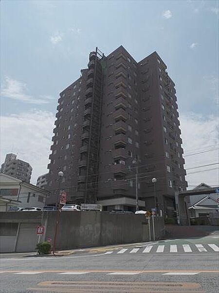 外観：313004811067