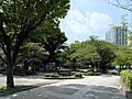 芝川公園 45...