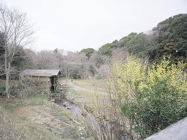 泉の森 800m