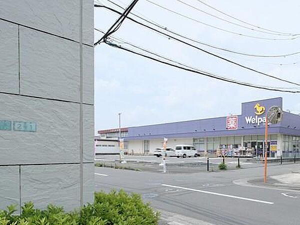 ウェルパーク相模原淵野辺店 430m