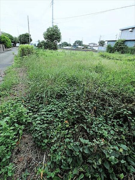 現地（撮影 2026.09）
