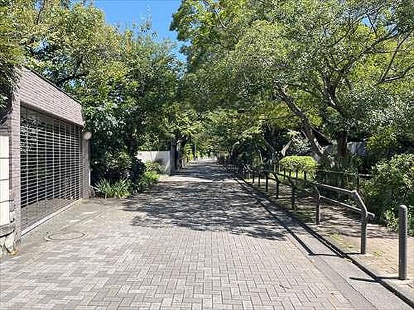 前面道路（物件：左手）
