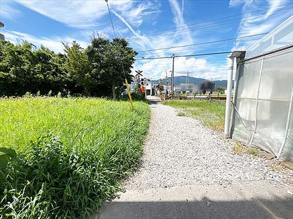 北西側前面道路（2026年8月撮影）