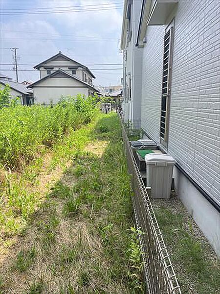 南側境界付近（2025年7月撮影）