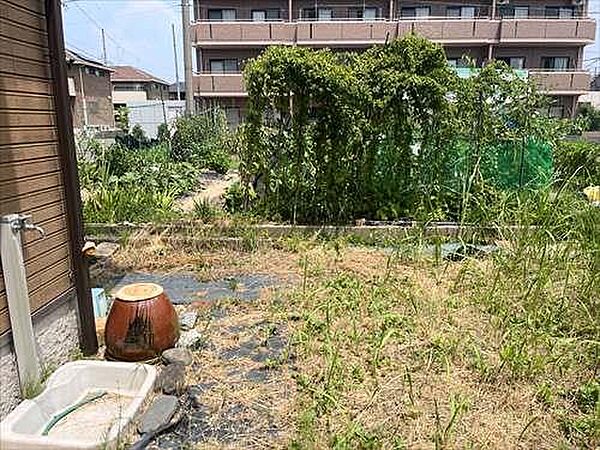 北西側境界付近（2025年7月撮影）