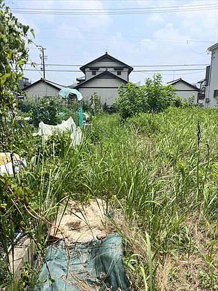 北側境界付近（2025年7月撮影）