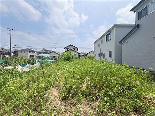 現地（西側から/2025年7月撮影）