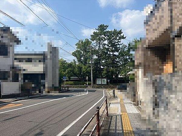 前面道路（2026年8月撮影）