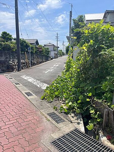 北東側前面道路（2025年6月撮影）3