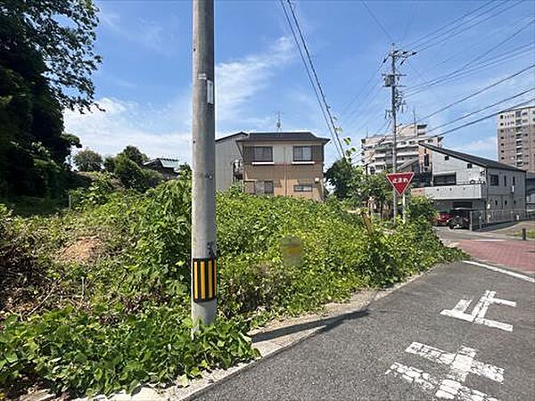 現地（北東側から/2025年6月撮影）2