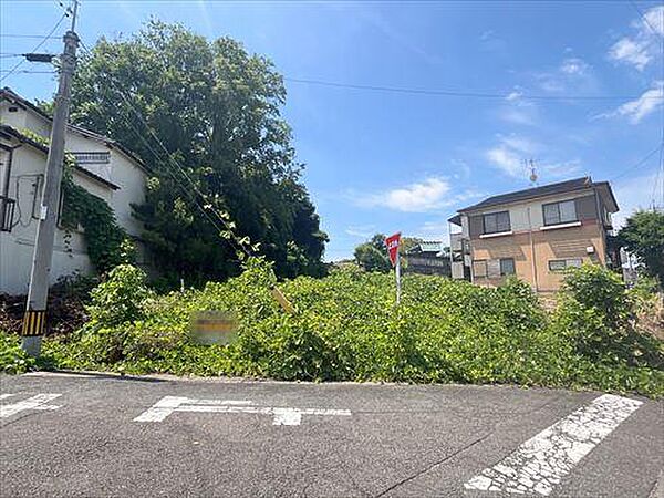 現地（北側から/2025年6月撮影）3