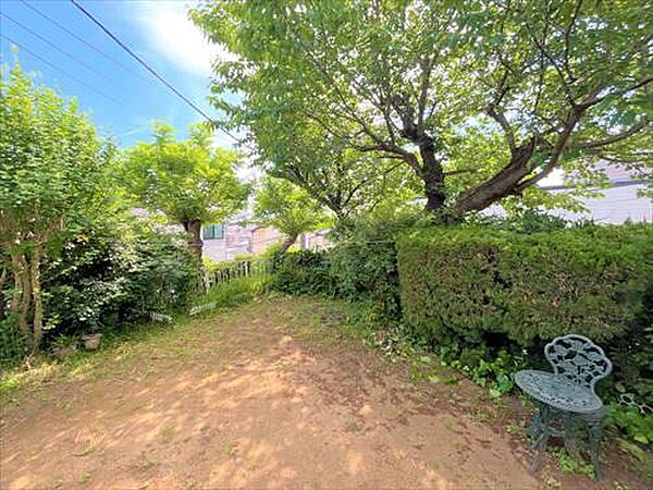 南西側の庭