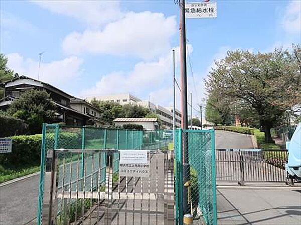 横浜市立上寺尾小学校まで1340m