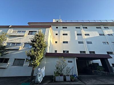 外観:外観 外観:外観