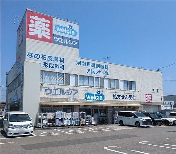 ウエルシア沼南店 420m