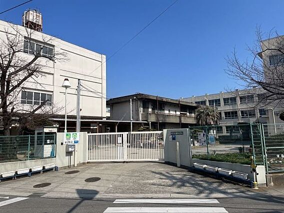 堺市立八田荘小...