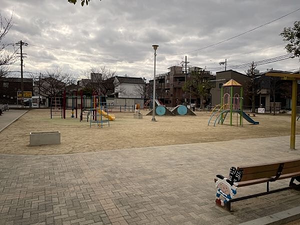 大和公園 50m