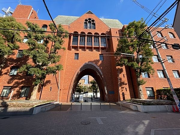 近畿大学 1100m