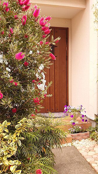 敷地内植栽あり※伐採予定