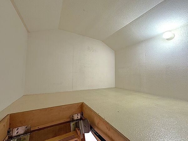 　小屋裏収納（内部）