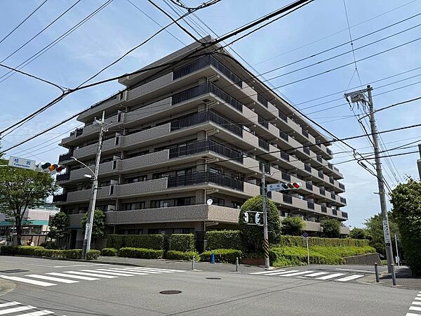 外観：314002530491