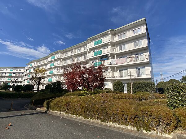 外観：314002569101