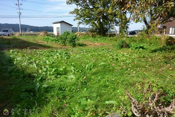 宅地内