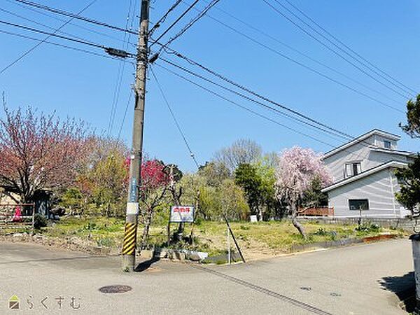 土地　外観