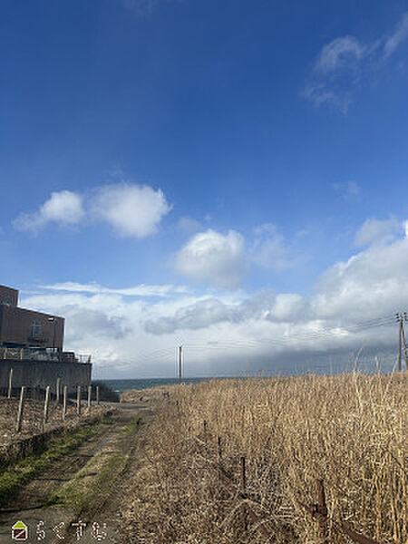 海岸へ続く道路