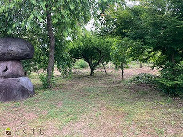 果樹園
