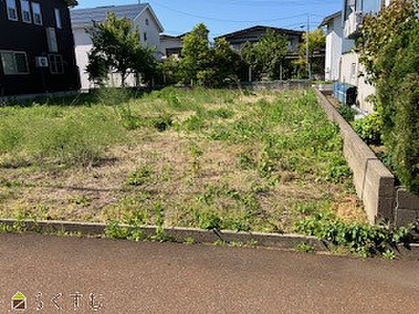 外観：315000035350