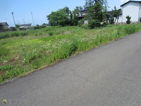 前面道路を含む現地